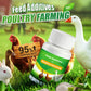 Feed Additives for Poultry Farming
