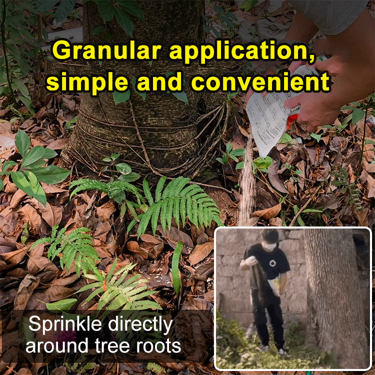 Professionelles Unkrautjäten, Bambus, Bäume, schadstofffrei, um den Bauernhof sauberer zu machen