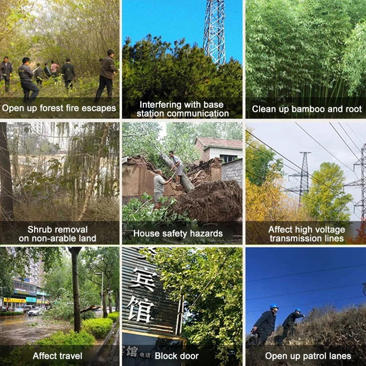 Professionelles Unkrautjäten, Bambus, Bäume, schadstofffrei, um den Bauernhof sauberer zu machen