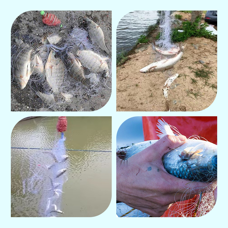 🔥2025 Hot Sale🔥Visnet met veerval