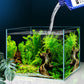 Nitrifying Water Conditioner for Aquariums