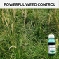 Glyphosate Concentrate Weed Killer Herbicide