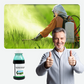Glyphosate Concentrate Weed Killer Herbicide