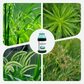 Glyphosate Concentrate Weed Killer Herbicide