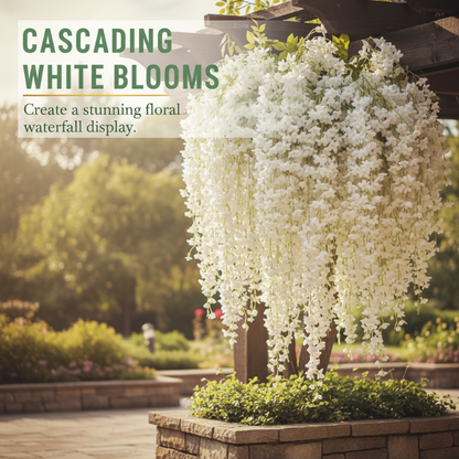 Easy-to-Grow Mandevilla Seeds